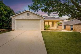 156 Texas Mulberry - Photo 1 of 1