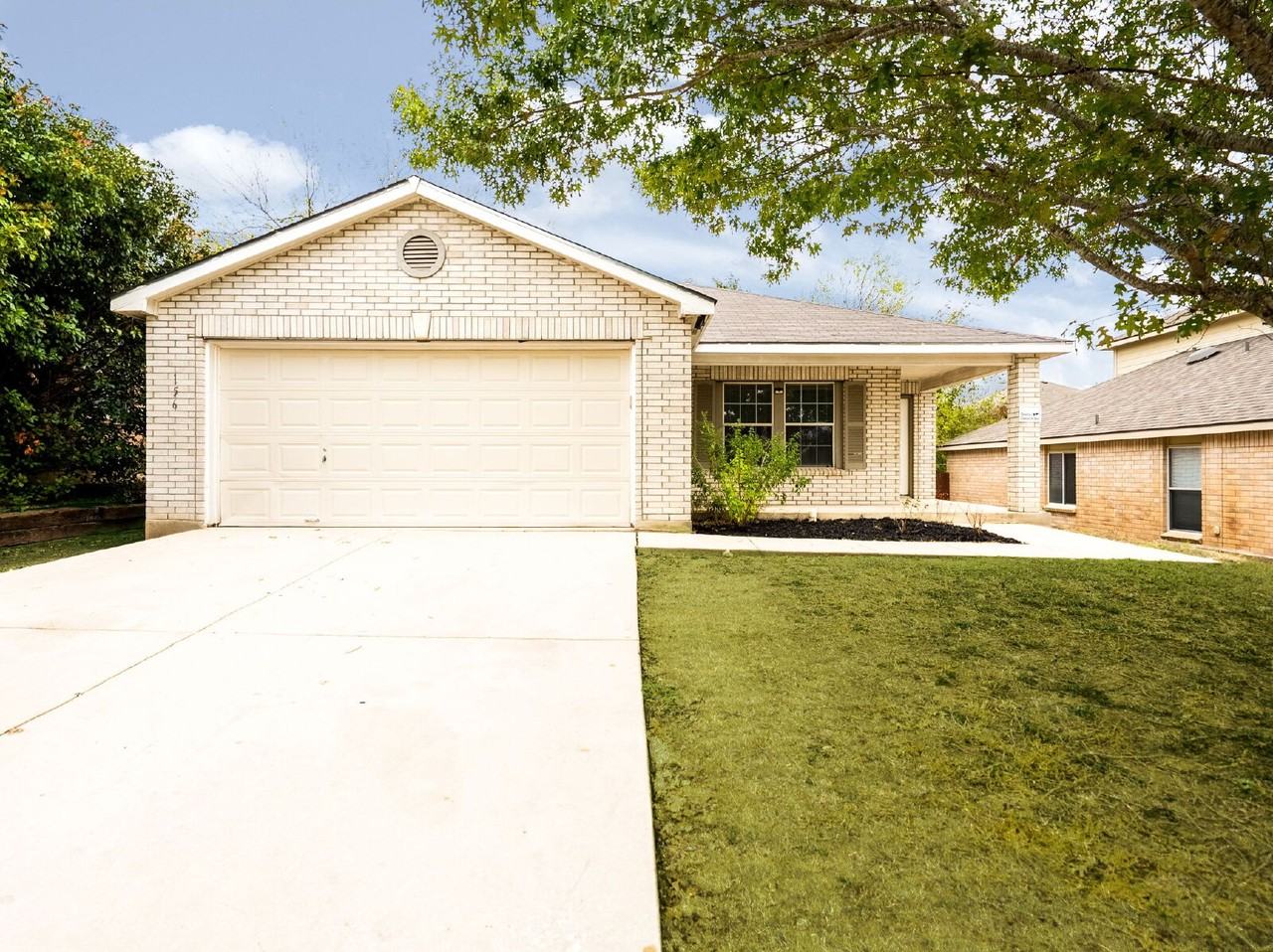 156 Texas Mulberry - Photo 2 of 42