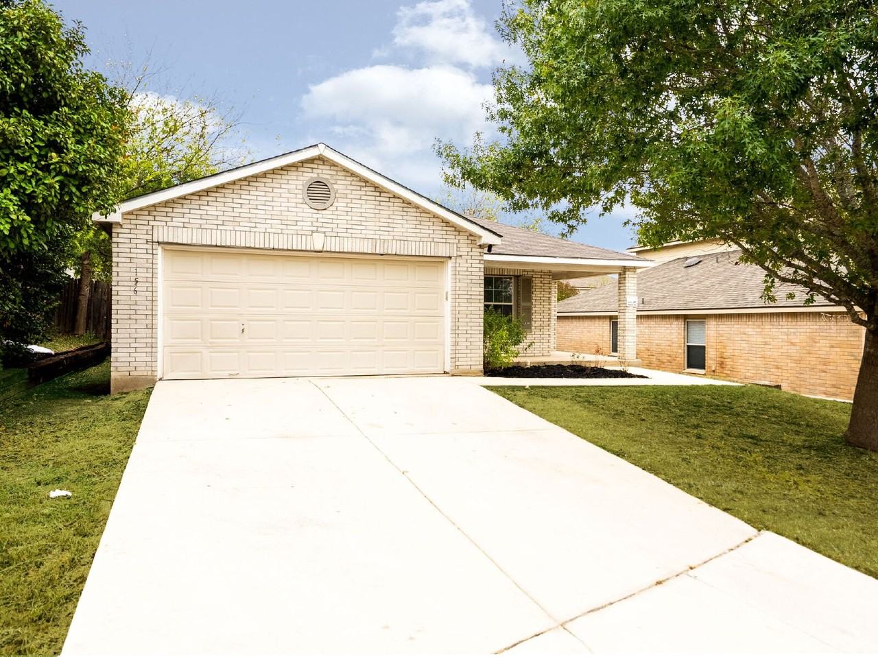 156 Texas Mulberry - Photo 3 of 42