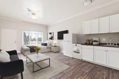 Bright & Sunny Studio w/ All New Renovation!! - Photo 1 of 1