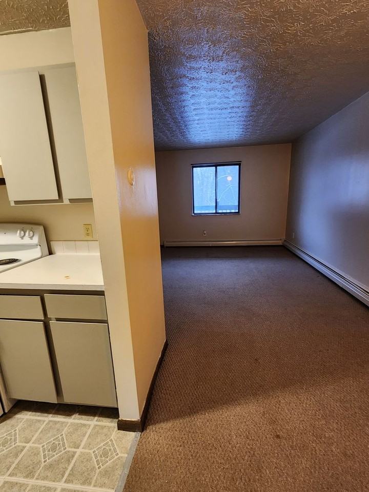 680 Hancock Avenue - Photo 6 of 24