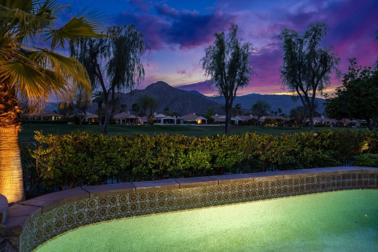 79365 Mandarina - Photo 3 of 50