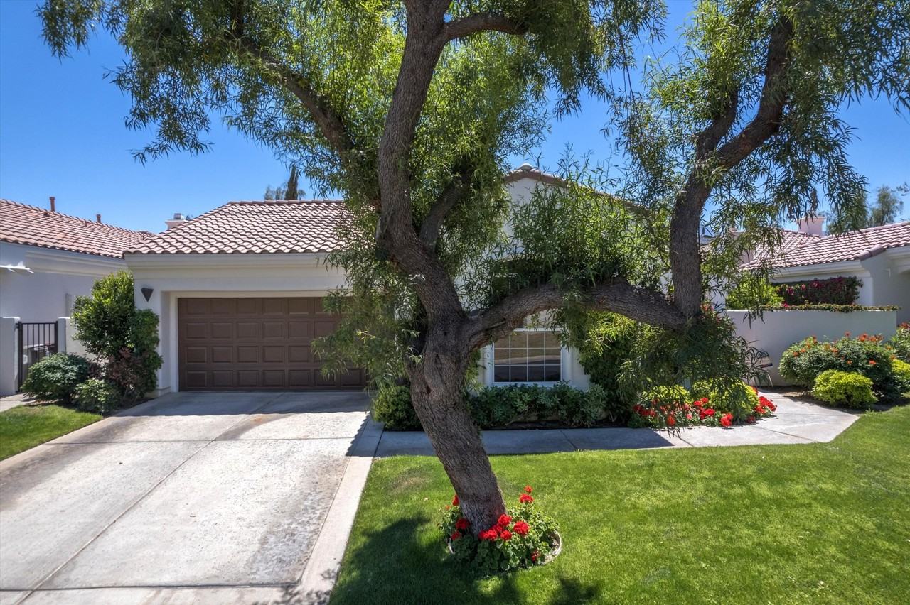 79365 Mandarina - Photo 7 of 50