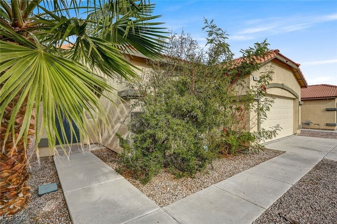 2914 Pumkin Harvest Avenue - Photo 4 of 43