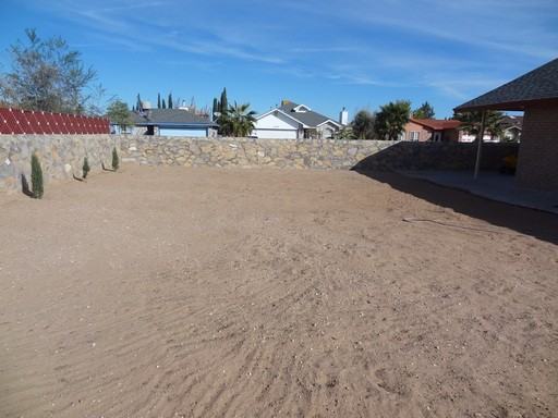 1729 Sarah Rachel Ct - Photo 2 of 16