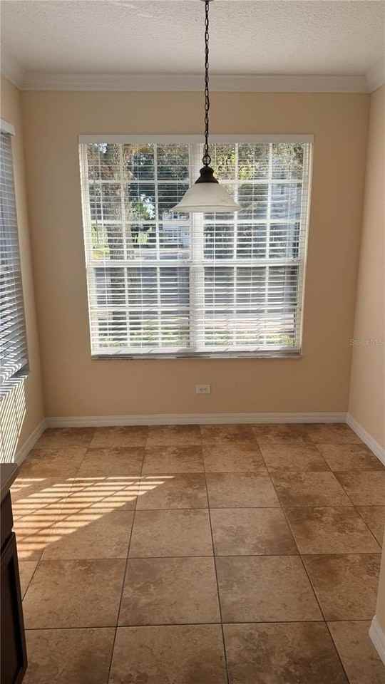 3521 Sanctury Drive - Photo 7 of 23