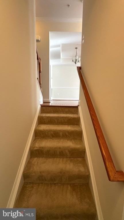 9727 June Flowers Way - Photo 3 of 30