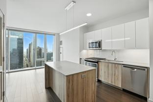 313 West Wolf Point Plaza - Photo 1 of 1