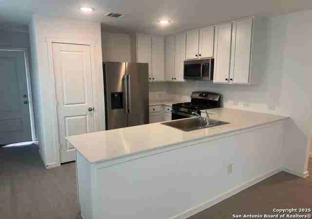 2843 Red Diamond - Photo 3 of 13