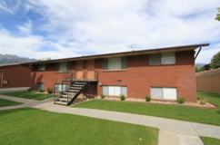 Summertree - Photo 1 of 1