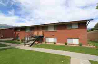 Summertree - Photo 1 of 1