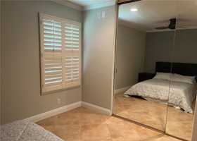 featured image of 142 Orange Blossom #112