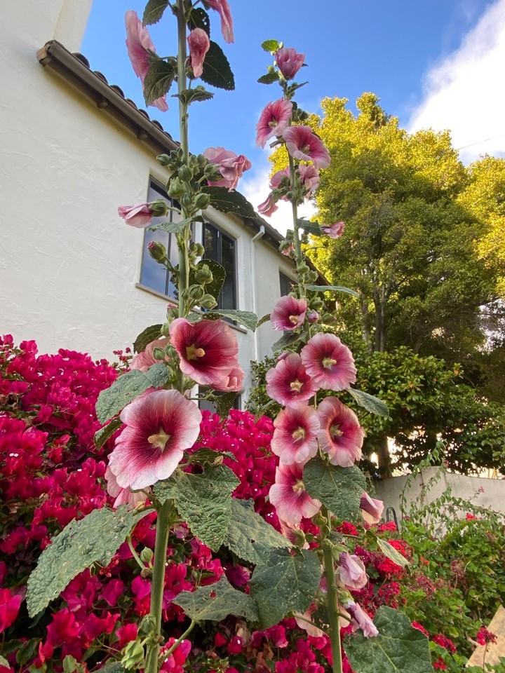 1700 LeRoy Ave - Photo 4 of 24