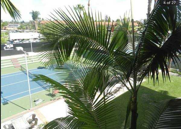 17210 Newhope Street #1302 - Photo 3 of 9