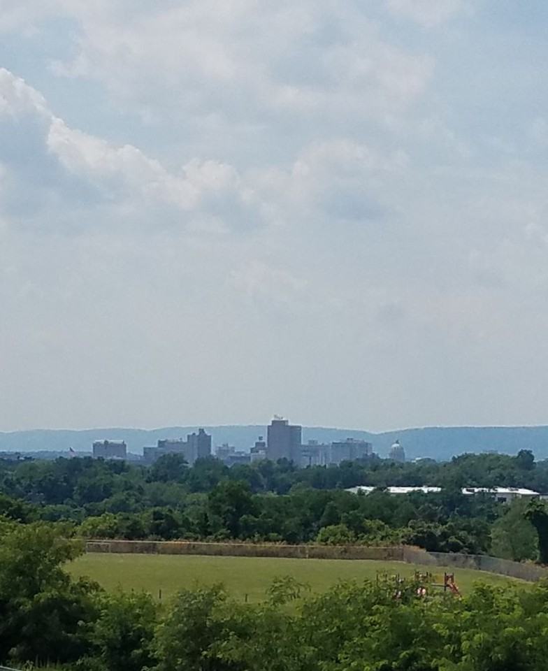 Ivy Ridge Apartments - Photo 4 of 19