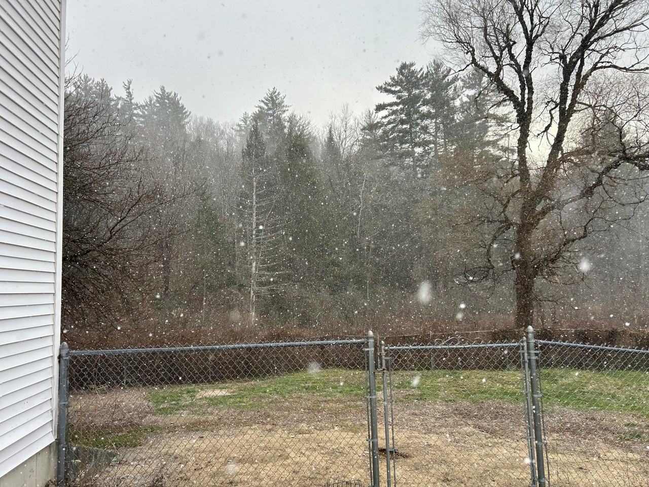 392 Back Ashuelot Road #NA - Photo 2 of 13