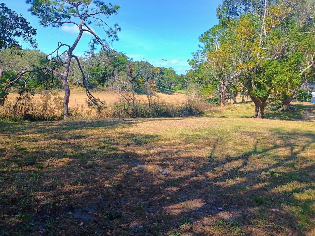 2105 Arbuckle Rd - Photo 4 of 27