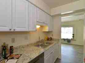 407 Hill Meadow Drive - Photo 1 of 1