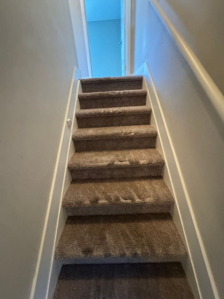 4002 Currant Ct - Photo 7 of 16