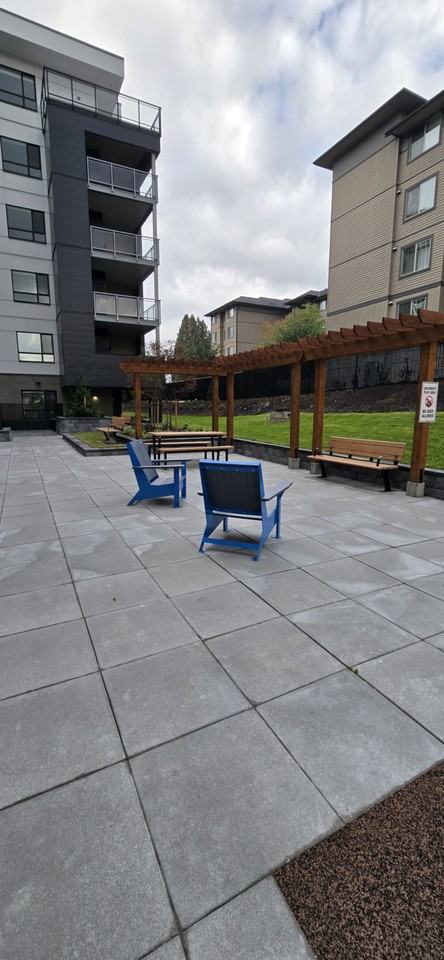 33886 Pine Street #202 - Photo 3 of 10