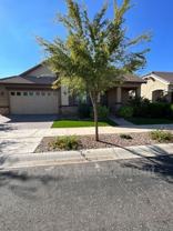 4179 Cynthia Street - Photo 1 of 1