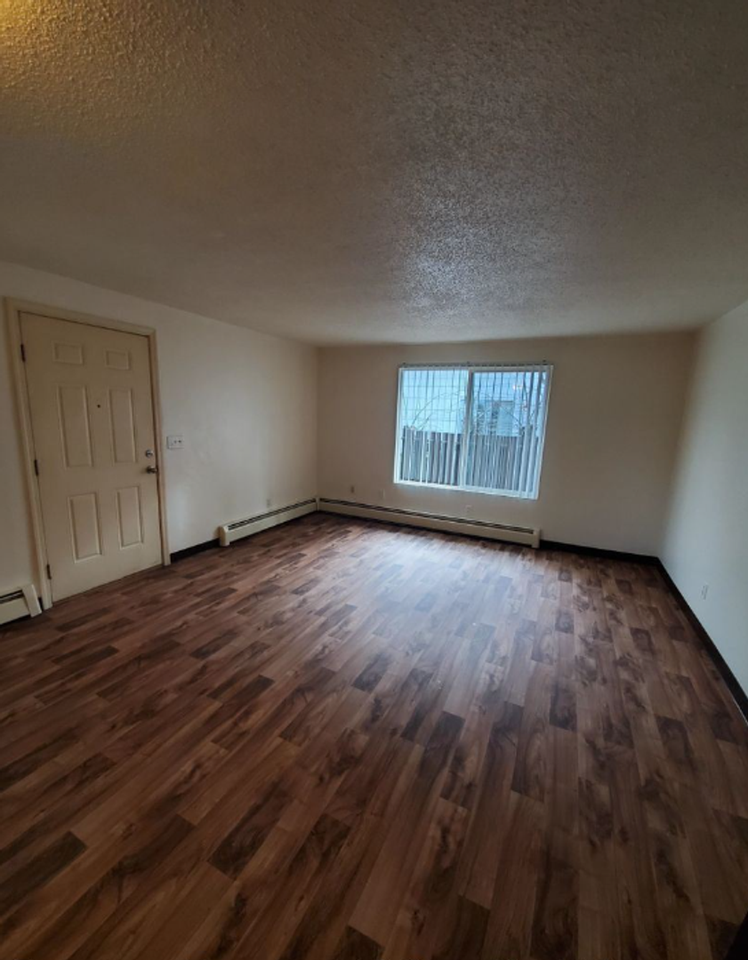 295a - Photo 4 of 14