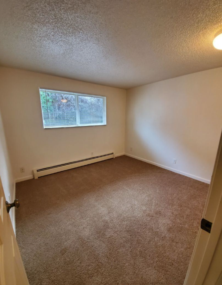 295a - Photo 6 of 14