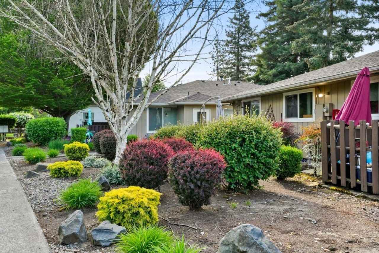 295a - Photo 7 of 14