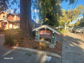 The Redwoods 247 - Photo 1 of 1