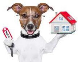 featured image of 4417 Aberdeen Drive