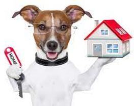 4417-4429 Aberdeen - Photo 1 of 1