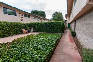 featured image of 785 Roble Avenue