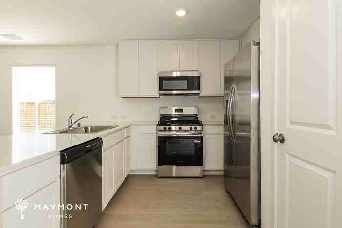 3149 Burmese St - Photo 7 of 14