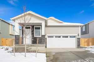 featured image of 9468 Yampa Street