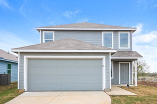 1810 Musk Rose - Photo 1 of 1