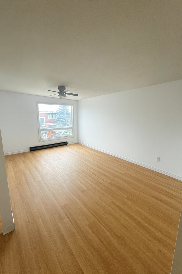 71 Lansdowne Street #3 - Photo 4 of 12