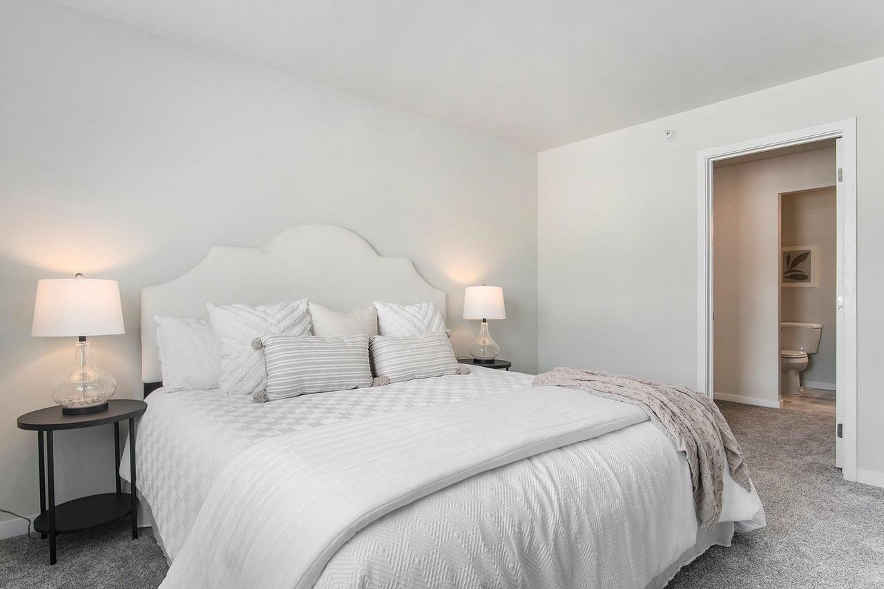 The Muse - Photo 3 of 19