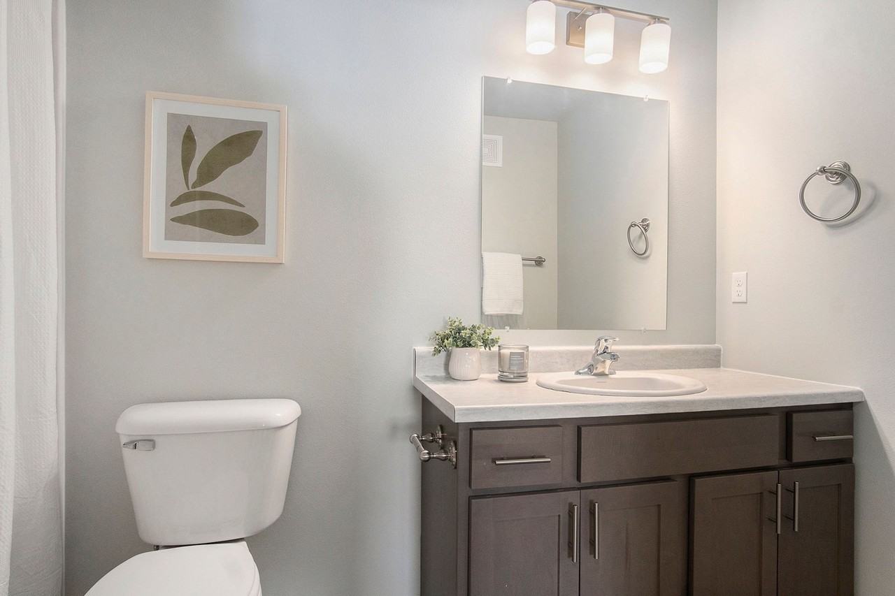 The Muse - Photo 6 of 19