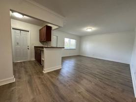 Dixie Realty LLC - Photo 1 of 1