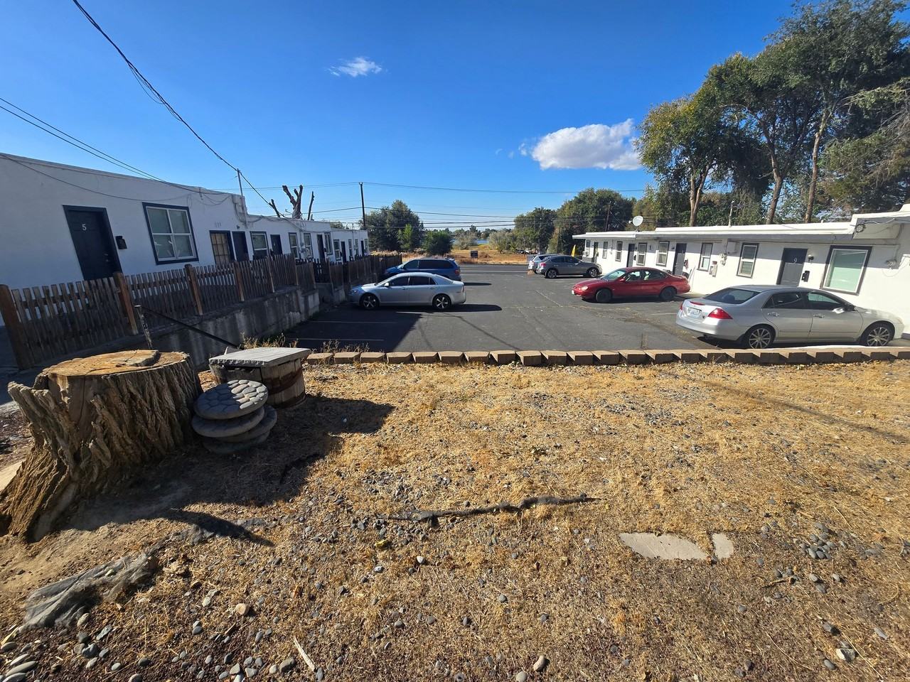 1029 South Division Street #3 - Photo 3 of 8