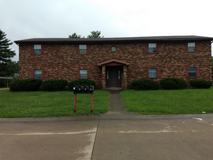 MIMOSA 3029 - Photo 1 of 1