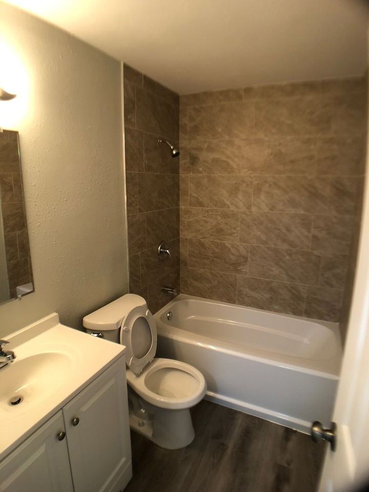 768 Lunar Lake Cir - Photo 6 of 12