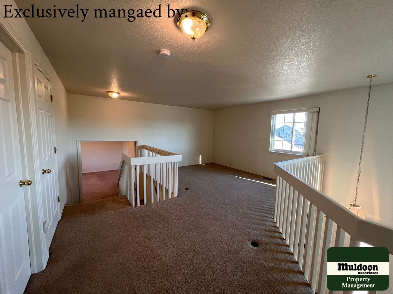5807 Poudre Way - Photo 5 of 37