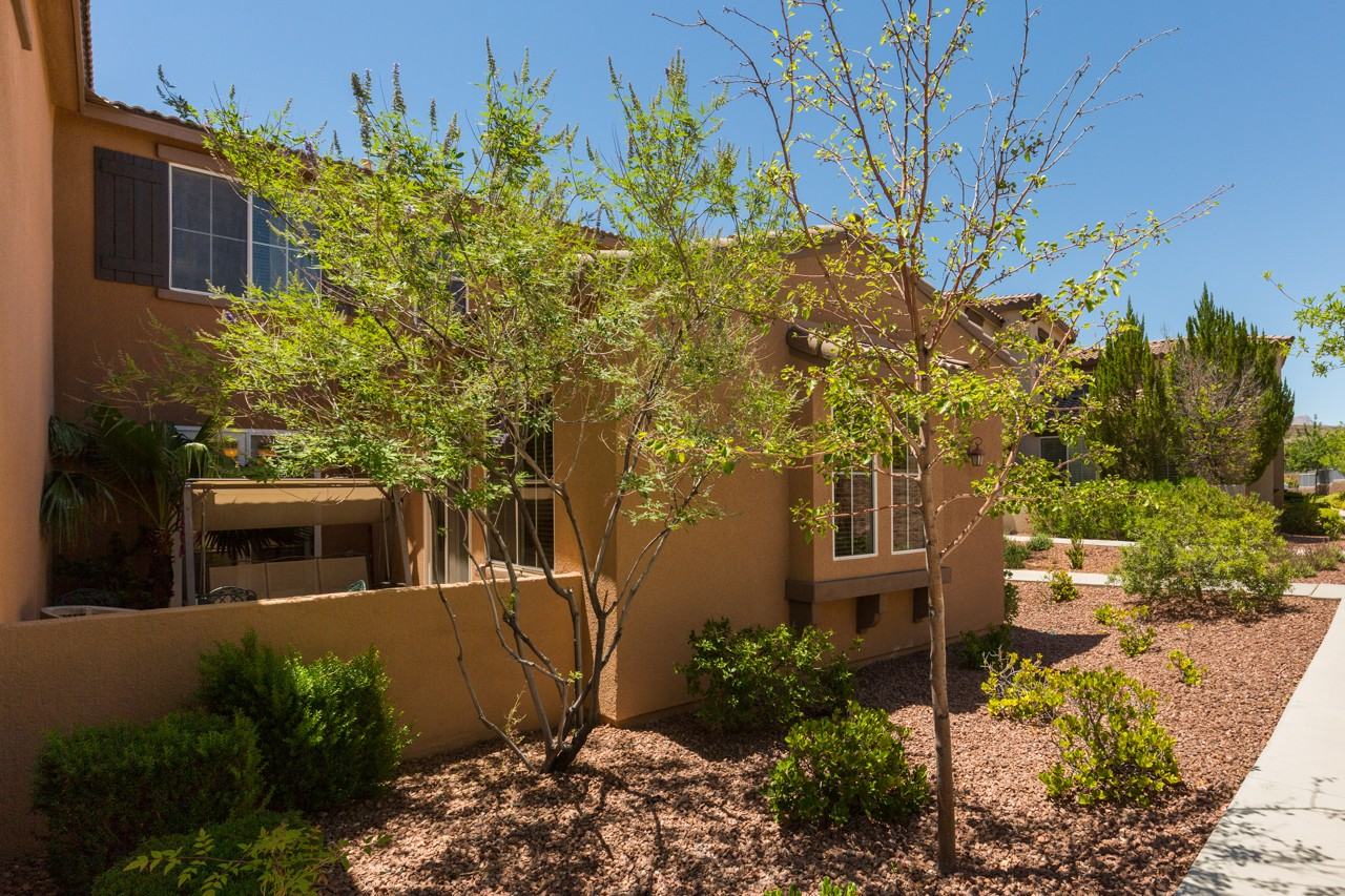 11488 Belmont Lake Drive #101 - Photo 2 of 21