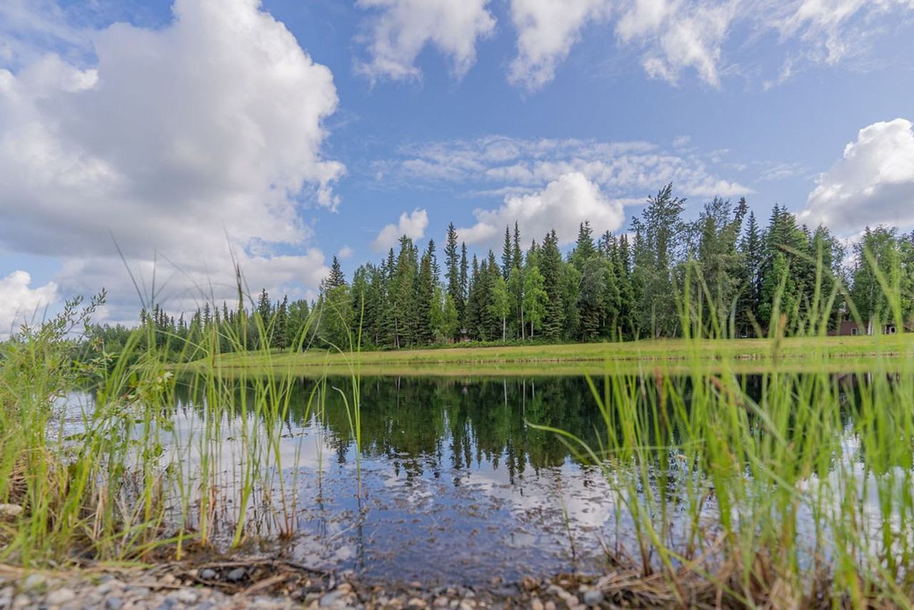 Beaver Lake Apartments | Peaceful Lakefront Living in North Pole, AK - Photo 5 of 27