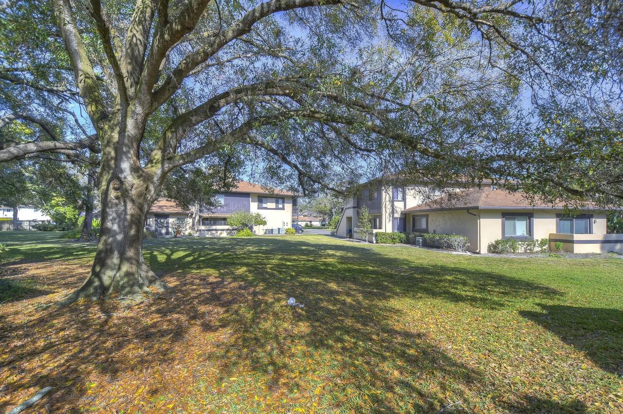 2926 Lichen Ln #A - Photo 4 of 30