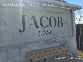 33886 Pine Street #201 - Photo 1 of 1