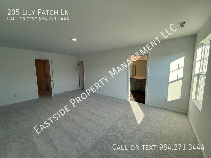 205 Lily Patch Ln - Photo 7 of 31