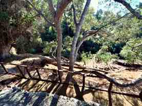 676 Orlando Drive #676 - Photo 1 of 1