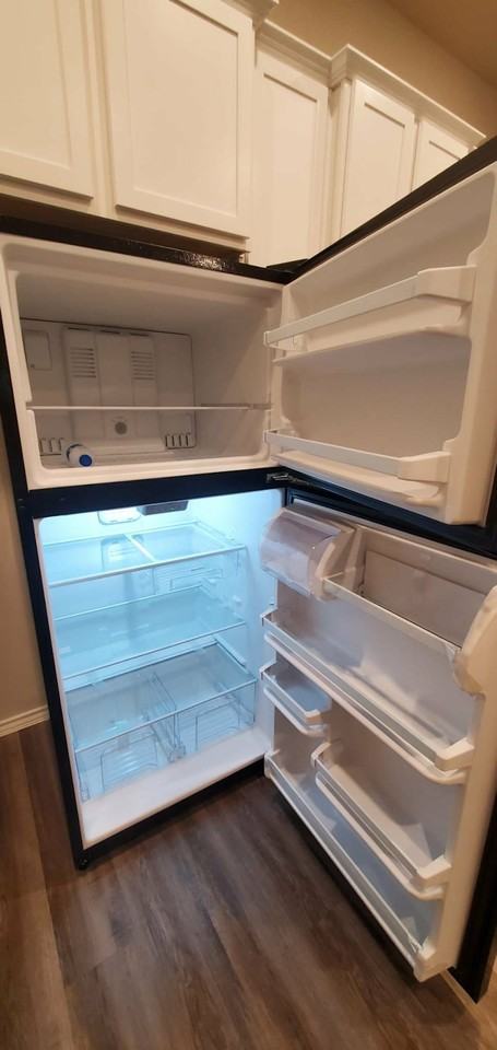 11726 White Cedar St - Photo 4 of 19